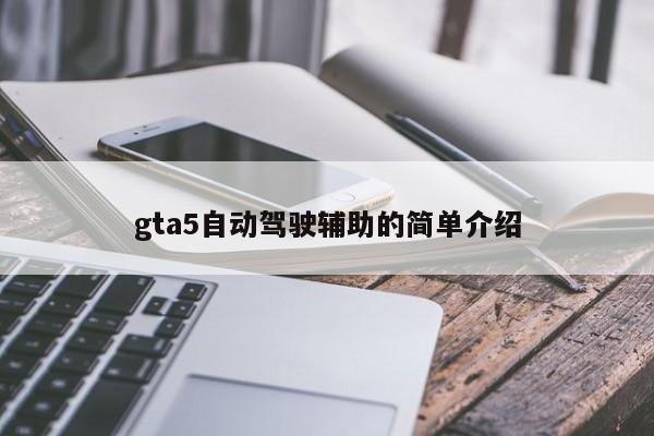 gta5自动驾驶辅助的简单介绍