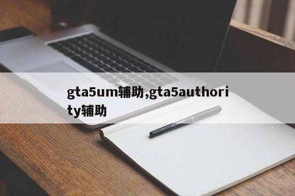 gta5um辅助,gta5authority辅助