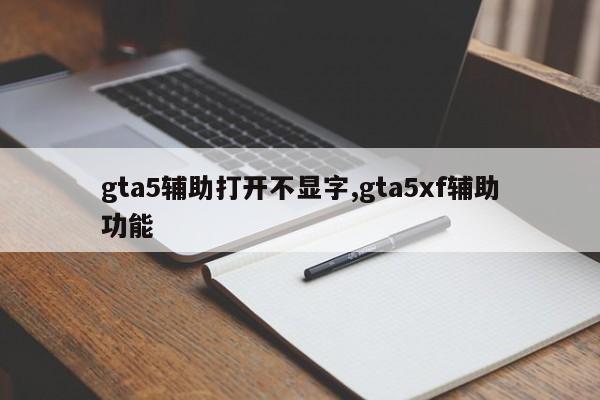 gta5辅助打开不显字,gta5xf辅助功能