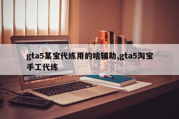 gta5某宝代练用的啥辅助,gta5淘宝手工代练