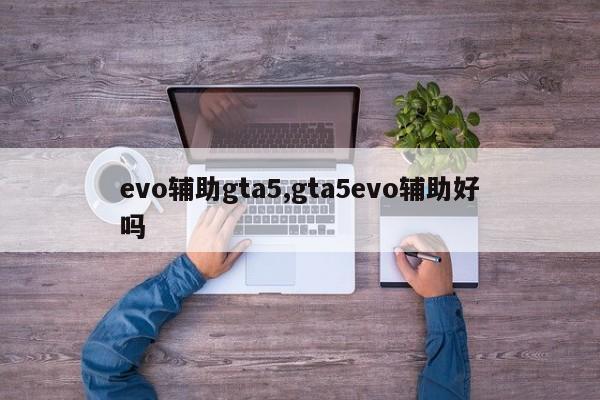 evo辅助gta5,gta5evo辅助好吗