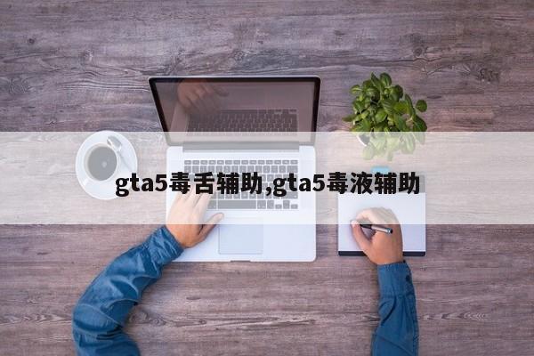 gta5毒舌辅助,gta5毒液辅助