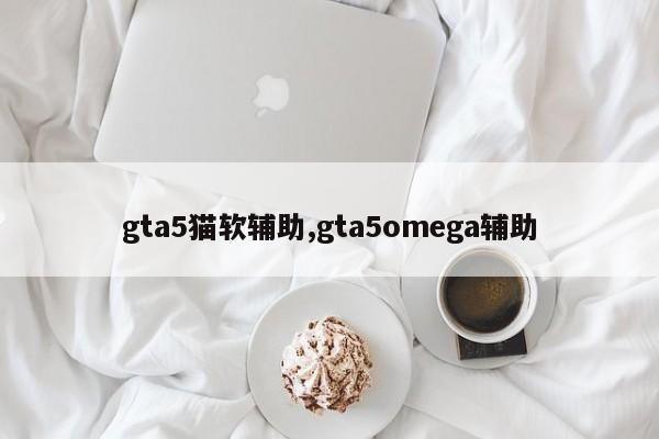 gta5猫软辅助,gta5omega辅助