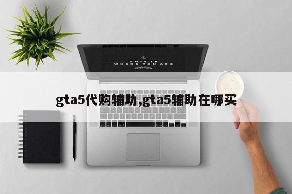 gta5代购辅助,gta5辅助在哪买