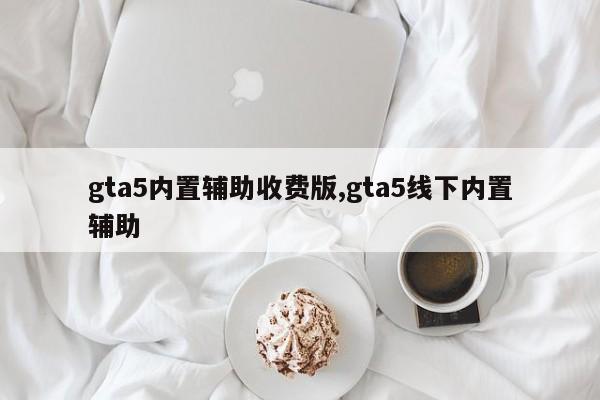 gta5内置辅助收费版,gta5线下内置辅助