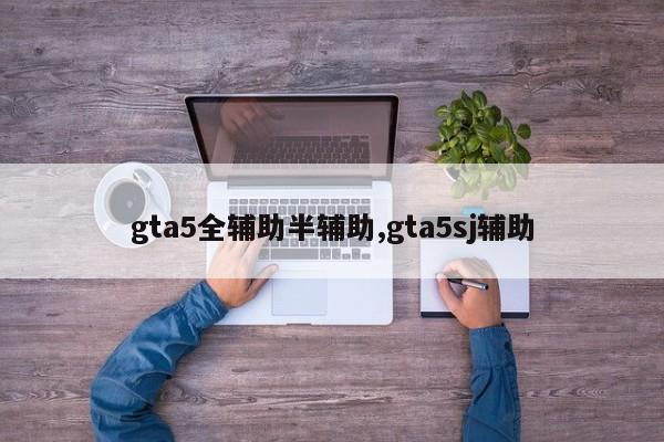 gta5全辅助半辅助,gta5sj辅助