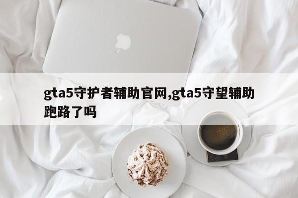 gta5守护者辅助官网,gta5守望辅助跑路了吗