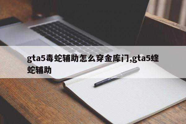 gta5毒蛇辅助怎么穿金库门,gta5蝰蛇辅助