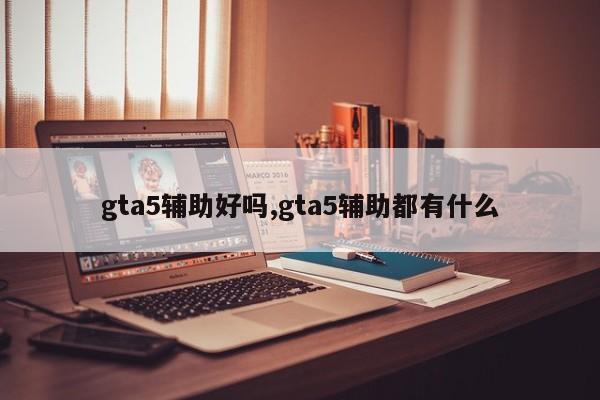 gta5辅助好吗,gta5辅助都有什么
