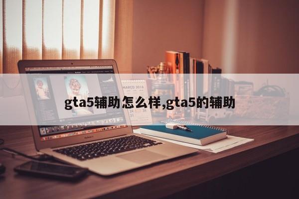 gta5辅助怎么样,gta5的辅助
