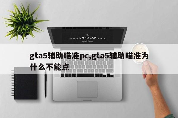 gta5辅助瞄准pc,gta5辅助瞄准为什么不能点