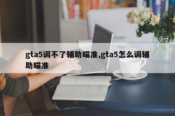 gta5调不了辅助瞄准,gta5怎么调辅助瞄准