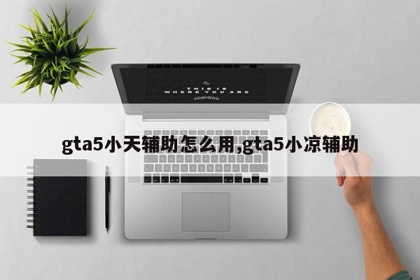 gta5小天辅助怎么用,gta5小凉辅助