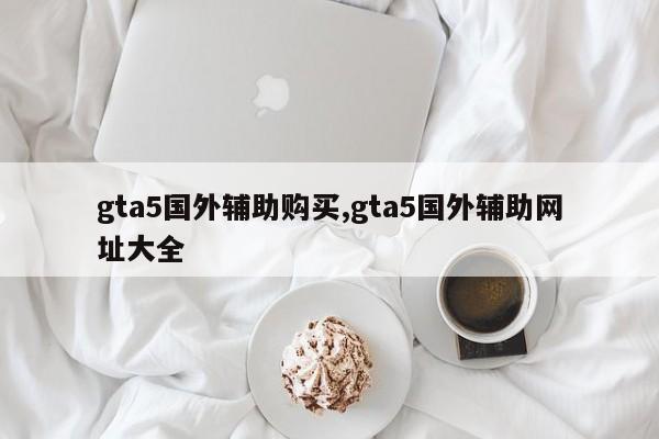 gta5国外辅助购买,gta5国外辅助网址大全
