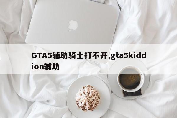 GTA5辅助骑士打不开,gta5kiddion辅助