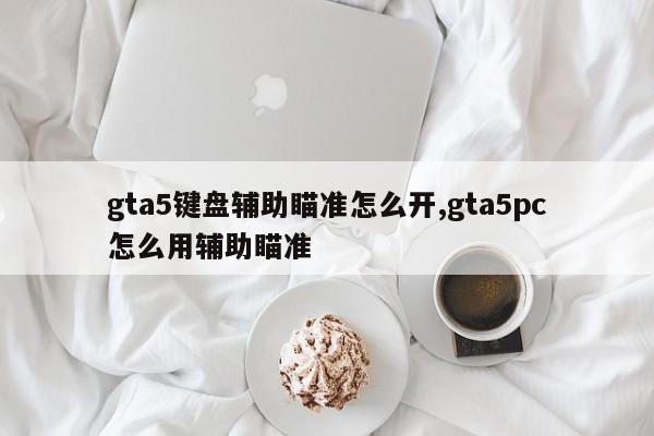 gta5键盘辅助瞄准怎么开,gta5pc怎么用辅助瞄准